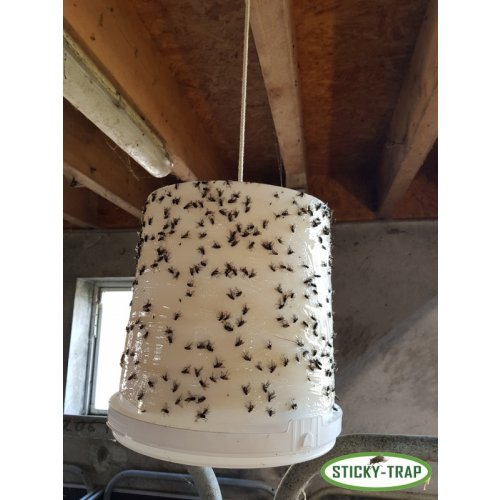 Sticky Trap Bílý kyblík k výrobě pasti na mouchy