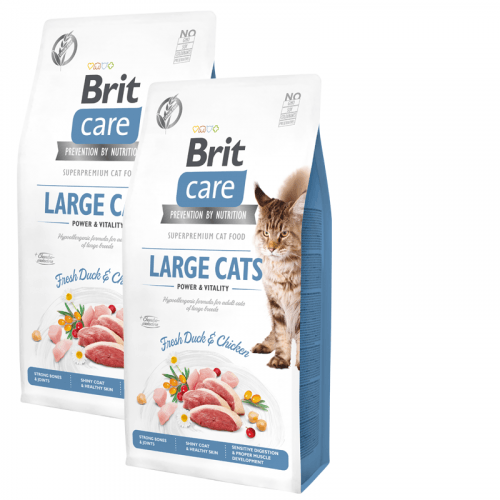 2x Brit Care Cat Grain-Free Large Cats Power & Vitality 7kg