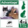 Advantage pro velké kočky a králíky 80mg 4x0,8ml