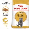 Royal Canin British Shorthair Adult 10kg