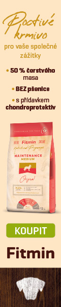 Fitmin NP - NEW